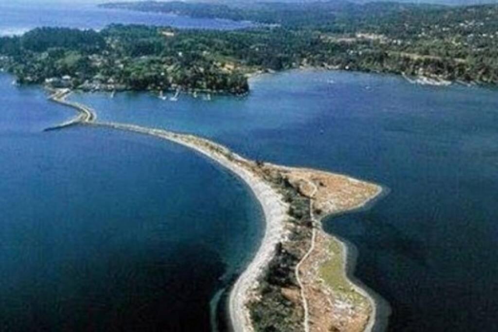 Seagull Studio Vacation Suite Sooke Esterno foto