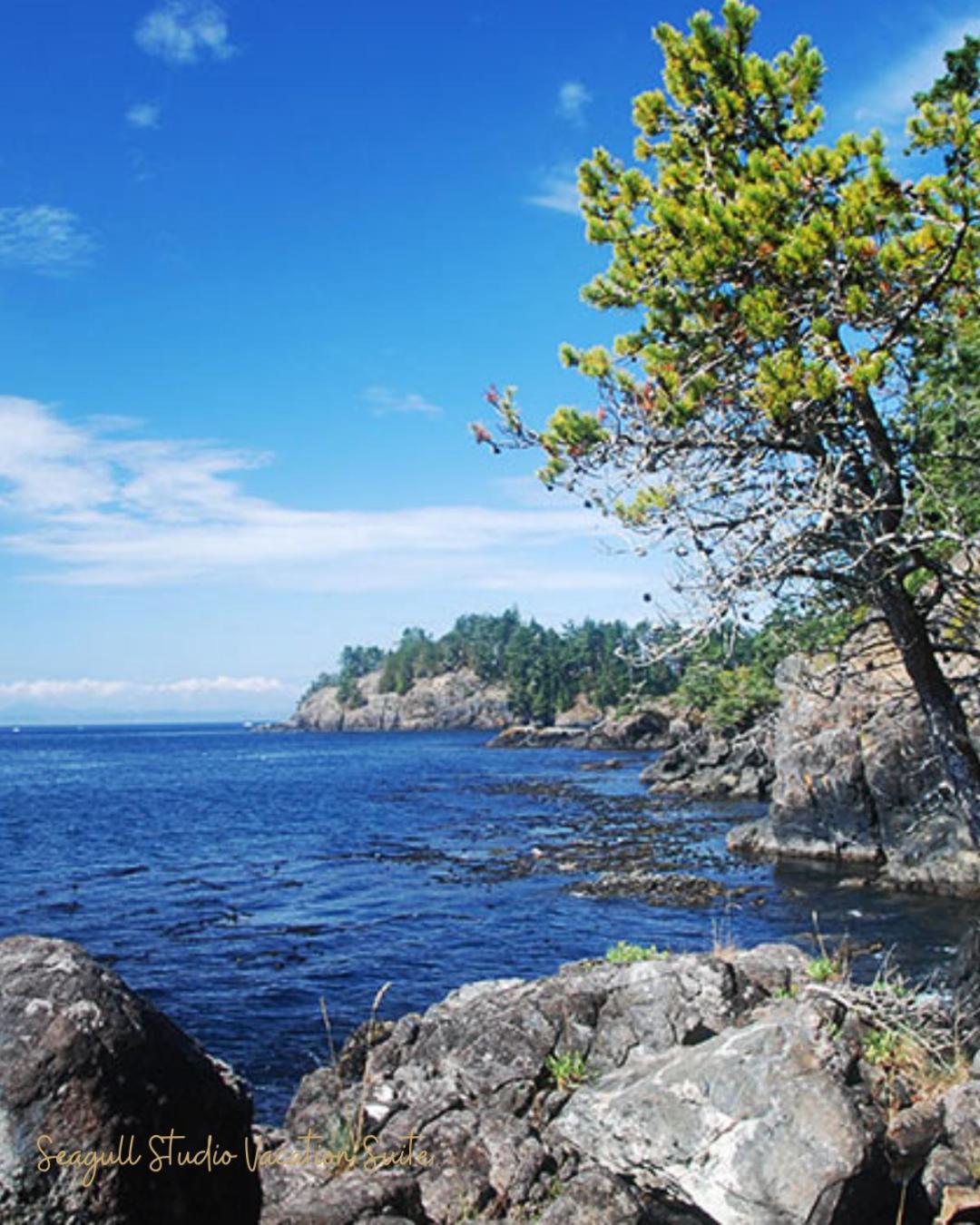 Seagull Studio Vacation Suite Sooke Esterno foto