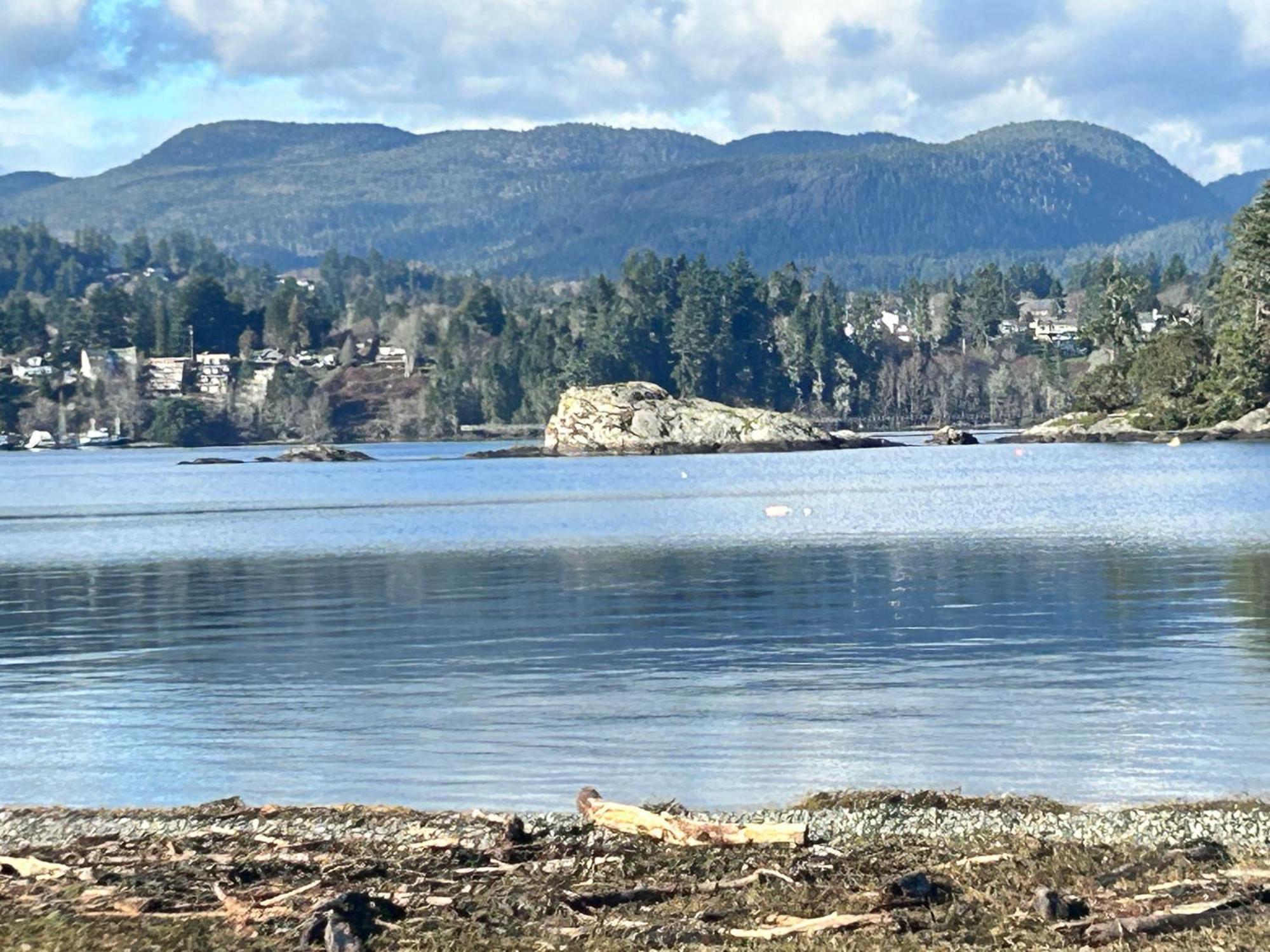 Seagull Studio Vacation Suite Sooke Esterno foto