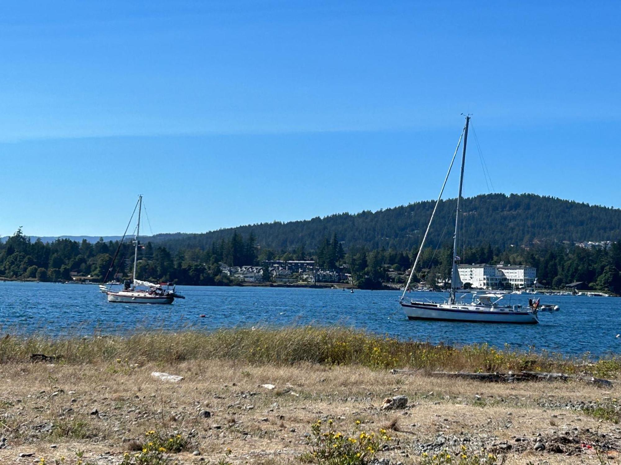 Seagull Studio Vacation Suite Sooke Esterno foto