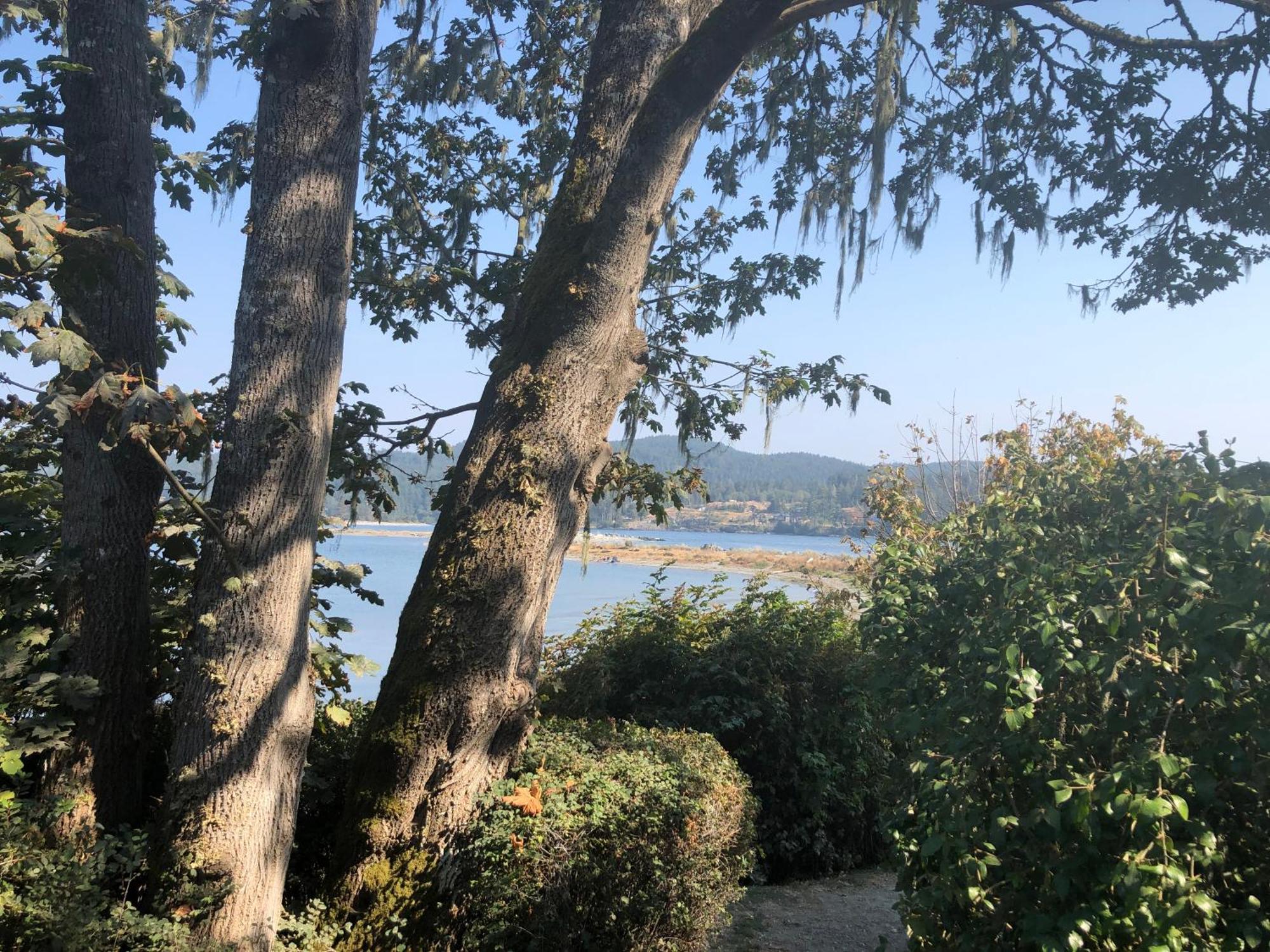 Seagull Studio Vacation Suite Sooke Esterno foto